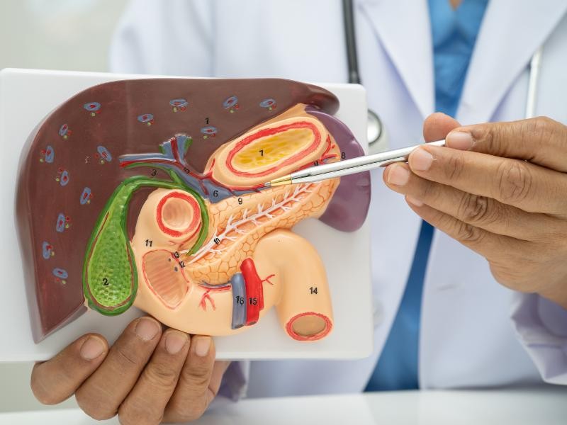 Cintilografia do Fígado e Baço